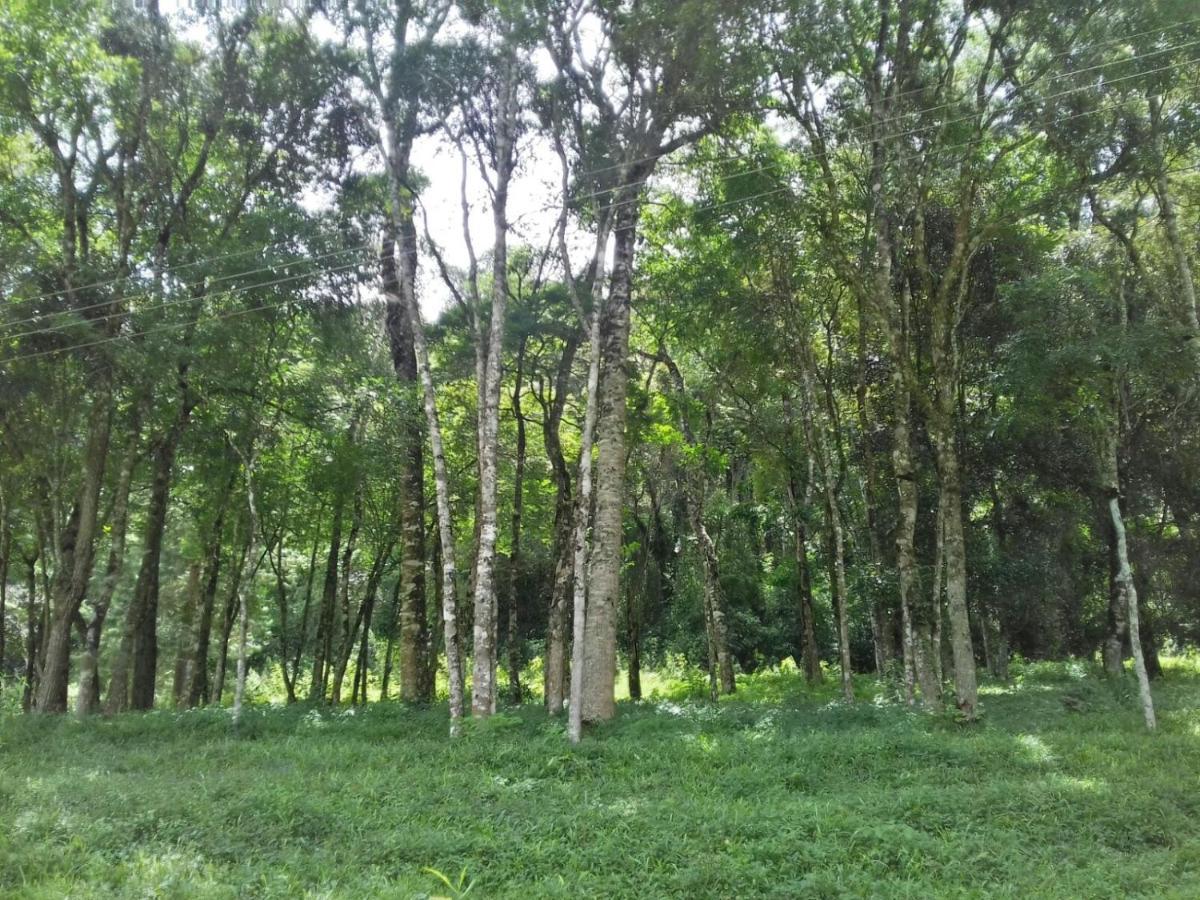 מונטה ורדה Green Mountains Hotel מראה חיצוני תמונה